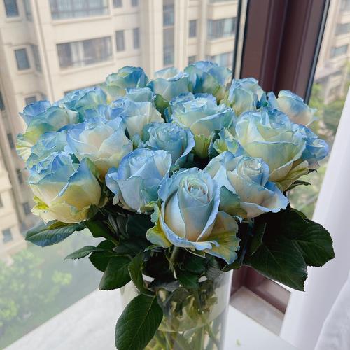 国色天香 海量高清牡丹花图片大全与鲜花赏析